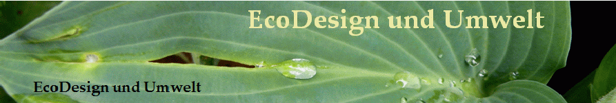 eco100